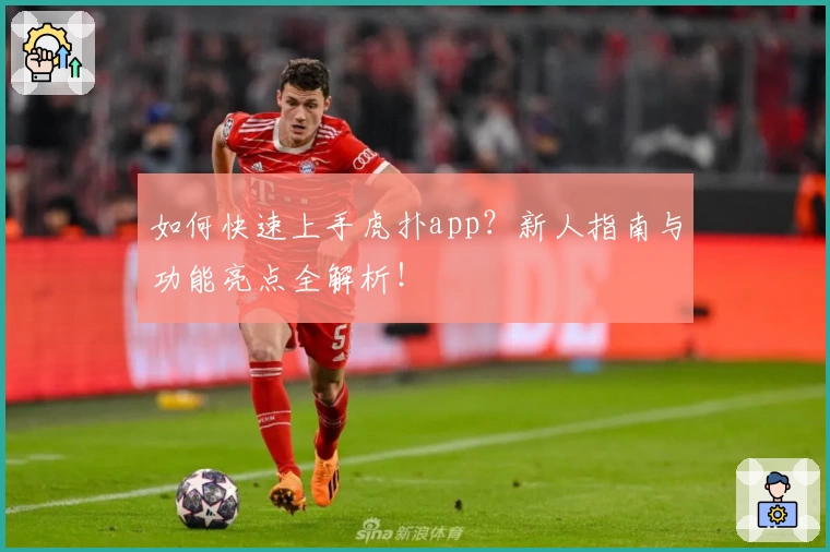 如何快速上手虎扑app？新人指南与功能亮点全解析！